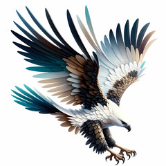 Obraz premium eagle in the sky