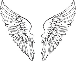 Elegant vector illustration of detailed stylized wings black silhouette on white background.