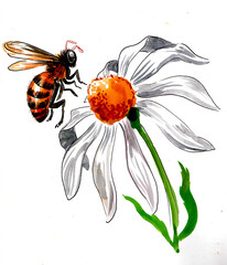Bee and flower. Hand drawn watercolour illustration