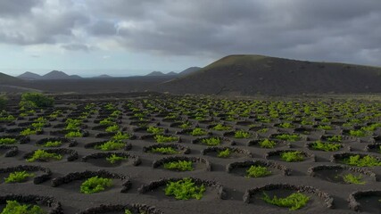 Aerial drone view of mountain sea and volcanoes in Lanzarote, Canary Islands, Spain - Powered by Adobe