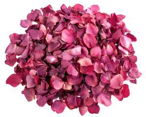 Scattered rose petals in various shades of pink create vibrant and romantic display, perfect for special occasions or decorative purposes