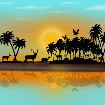 Animal silhouette beach sunset sunrise nature blue background  wallpaper