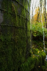 Close up of defunct water tower, covered in lush green moss and draining water in the rain. 