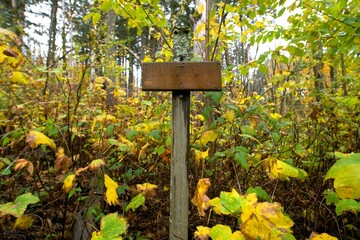 Bank wooden trail sign surrounded by dense woodland, full of leaves turning to their autumn colors on a cool overcast day. 