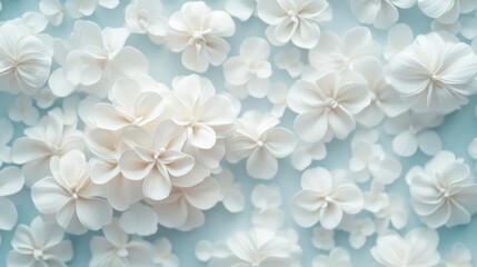 Fototapeta premium A Delicate Dance of White Blooms on a Pastel Blue Canvas