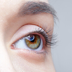 Closeup macro shot of human female eye. Woman with nude makeup of eyes or no makeup.