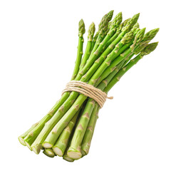 Fresh Green Asparagus Bundle Tied with Natural Twine on White Background