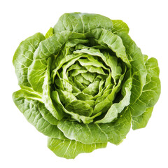 Obraz premium Fresh Green Lettuce Head Isolated on White Background