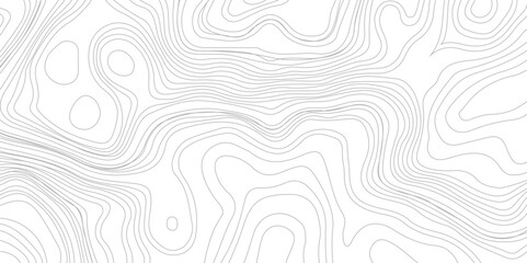 Vector geographic contour map. Background of the topographic map. Topographic map lines, contour background.