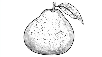 isolated pear in black and white