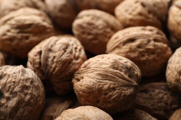 Fresh walnuts in shells as background, closeup