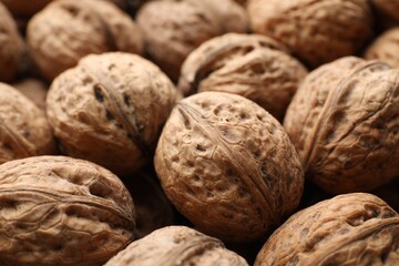 Fresh walnuts in shells as background, closeup