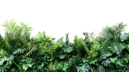 Tropical plants creating a lush green border on transparent background