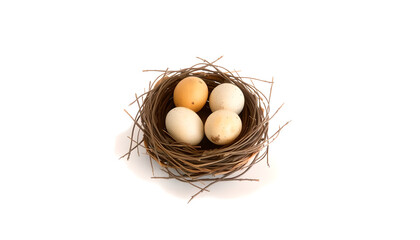 egg in nest