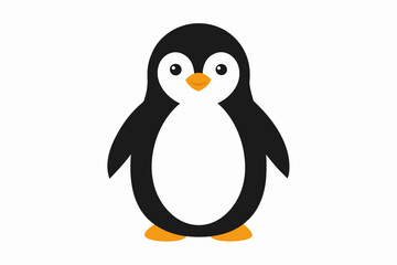 penguin on a white background