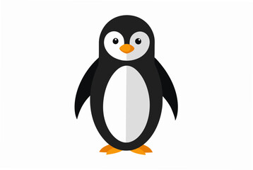 penguin on a white background