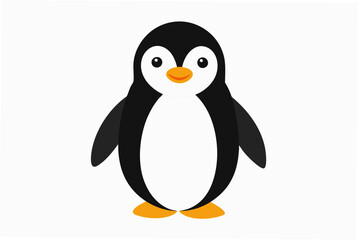 penguin on a white background