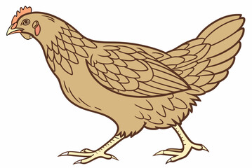rooster isolated on white