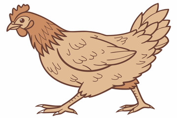 hen isolated on white