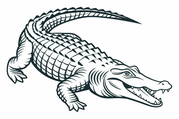 crocodile isolated on white