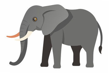 elephant isolated on white