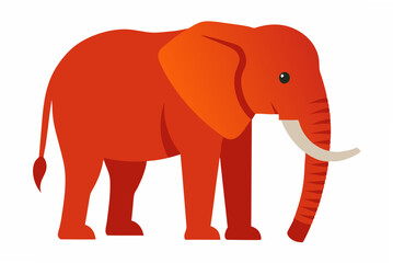 elephant isolated on white