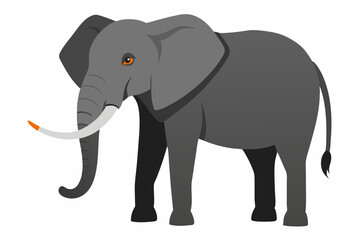 elephant isolated on white