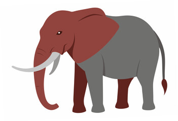 elephant isolated on white background