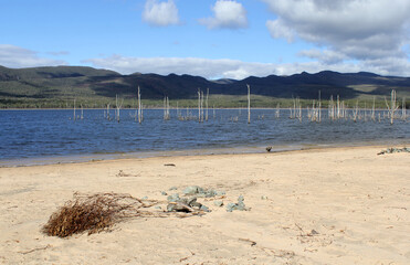 Sandy shoreline, water and submerged trees at Lake Bellfield in Victoria, Australia