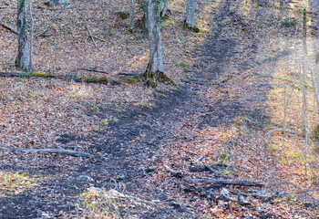 outdoor walks in a nature park with an overview of the area