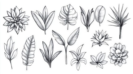 94.A detailed set of botanical illustrations drawn in a continuous line style, emphasizing simplicity and elegance, ideal for modern decorative prints.