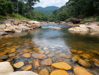 Crystal clear river flowing through dense rainforest, surrounded by lush greenery and rocky riverbed. serene landscape invites tranquility and connection with nature