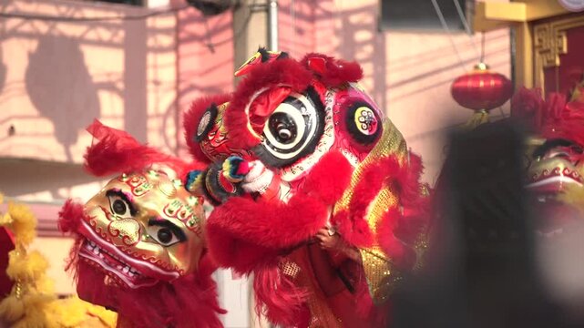 The lion puppet show during the Chinese New Year festival.
