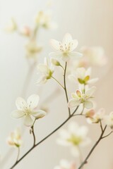 Obraz premium Delicate White Flowers in Soft Light