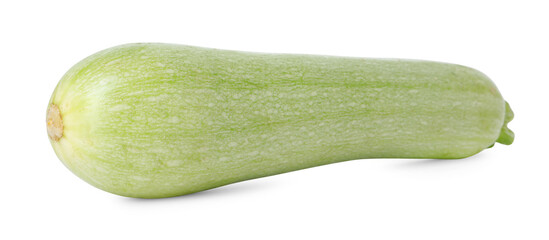 One fresh ripe zucchini isolated on white