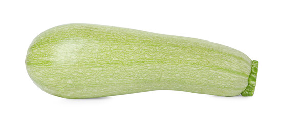 One fresh ripe zucchini isolated on white