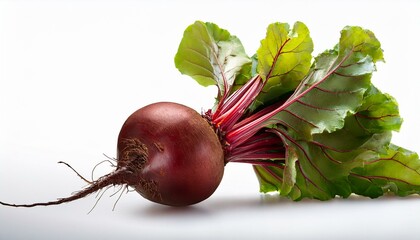 radish with leaves. Beetroot with leaves isolated on white background