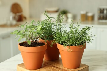 Different aromatic herbs in pots on white marble table in kitchen