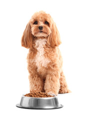 Feeding bowl with dry pet food and cute dog on white background