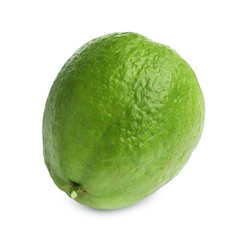 One fresh guava fruit isolated on white