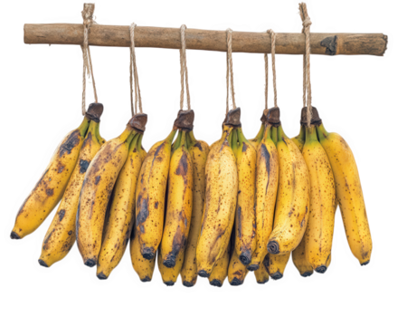 Fresh bananas hanging from wooden stall, showcasing their vibrant yellow color and natural spots, perfect for tropical markets