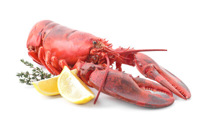 Tasty boiled lobster, lemon and thyme isolated on white