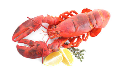 Tasty boiled lobster, lemon and thyme isolated on white, top view