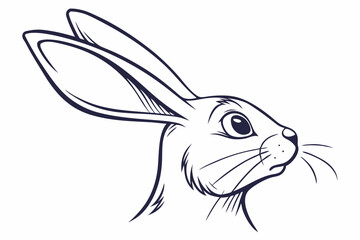 illustration of a rabbit