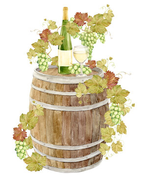 recommend clip art: Watercolor branch with green grapes, a glass of white wine and a bottle of green glass. Wooden barrel entwined with grapevine. Clipart for tasting, menu, wine list.