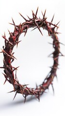 Obraz premium Crown of thorns representing suffering and sacrifice of jesus christ