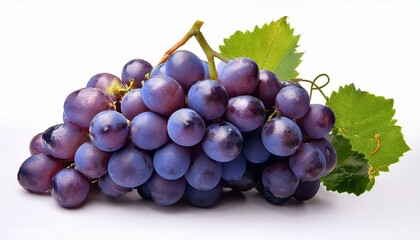 Fototapeta premium bunch of grapes isolated on white. Grapes isolated on white background.