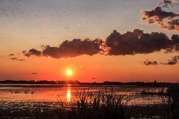 A sunset over a lake with a bird flying in the sky