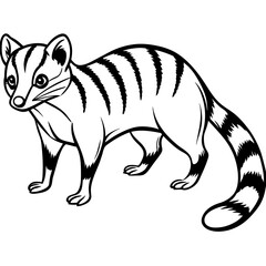 illustration of a squirrel