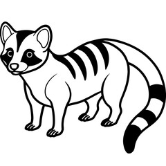 illustration of a squirrel